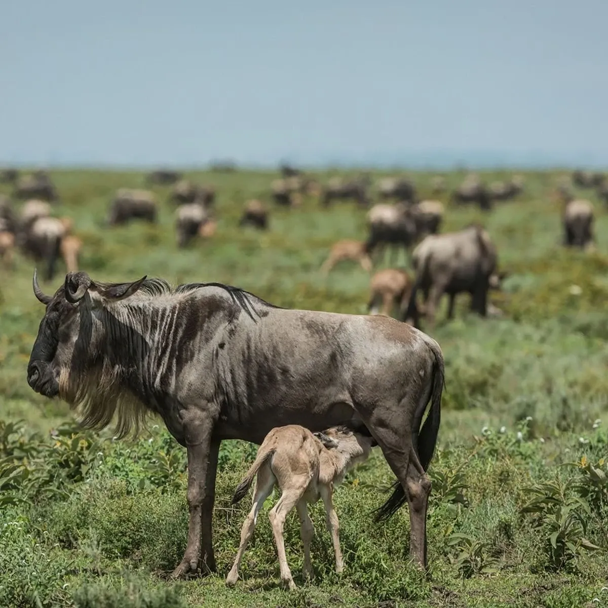 how does this itinerary look for January